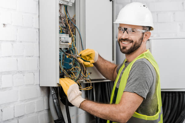 Best Electric Panel Repair  in Doctor Phillips, FL