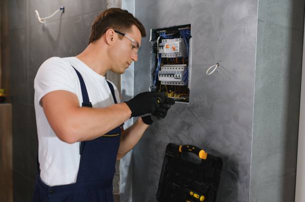 Best Electrical Upgrades for Homes  in Doctor Phillips, FL
